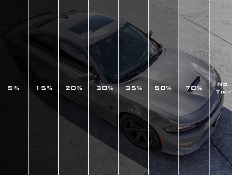 tint-levels