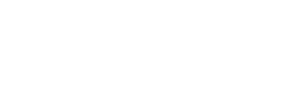 ston-logo