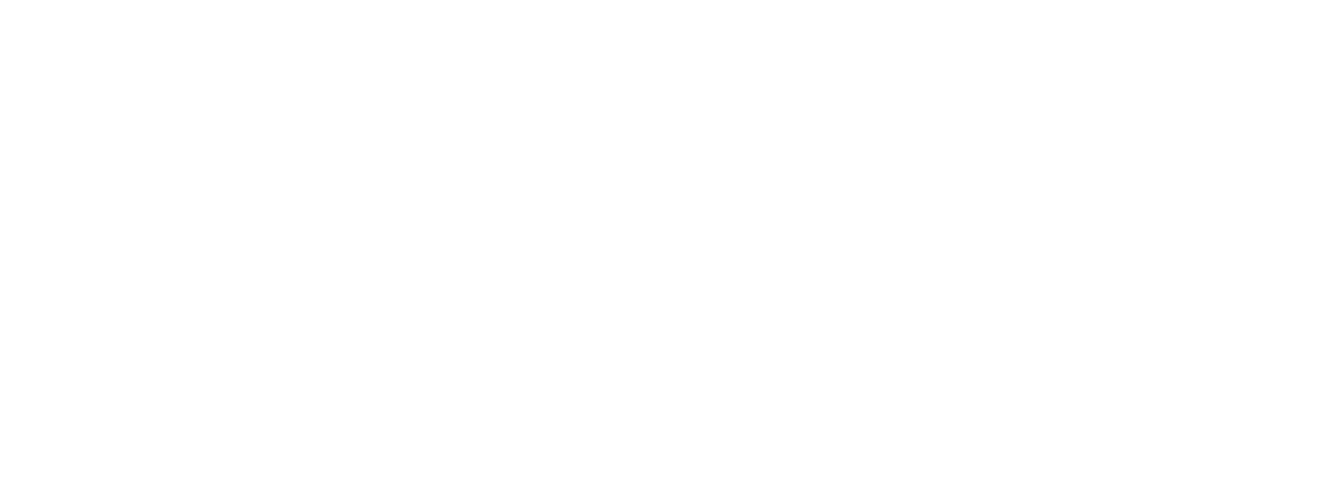 ston-logo
